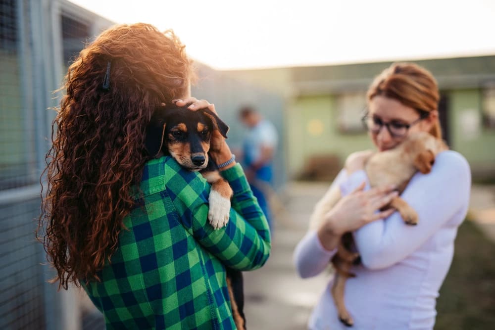 Veja como foi o evento de adoção de pets no Mart Minas e aproveite as ofertas do Mundo Pet até 13/11 para o seu novo amigo!