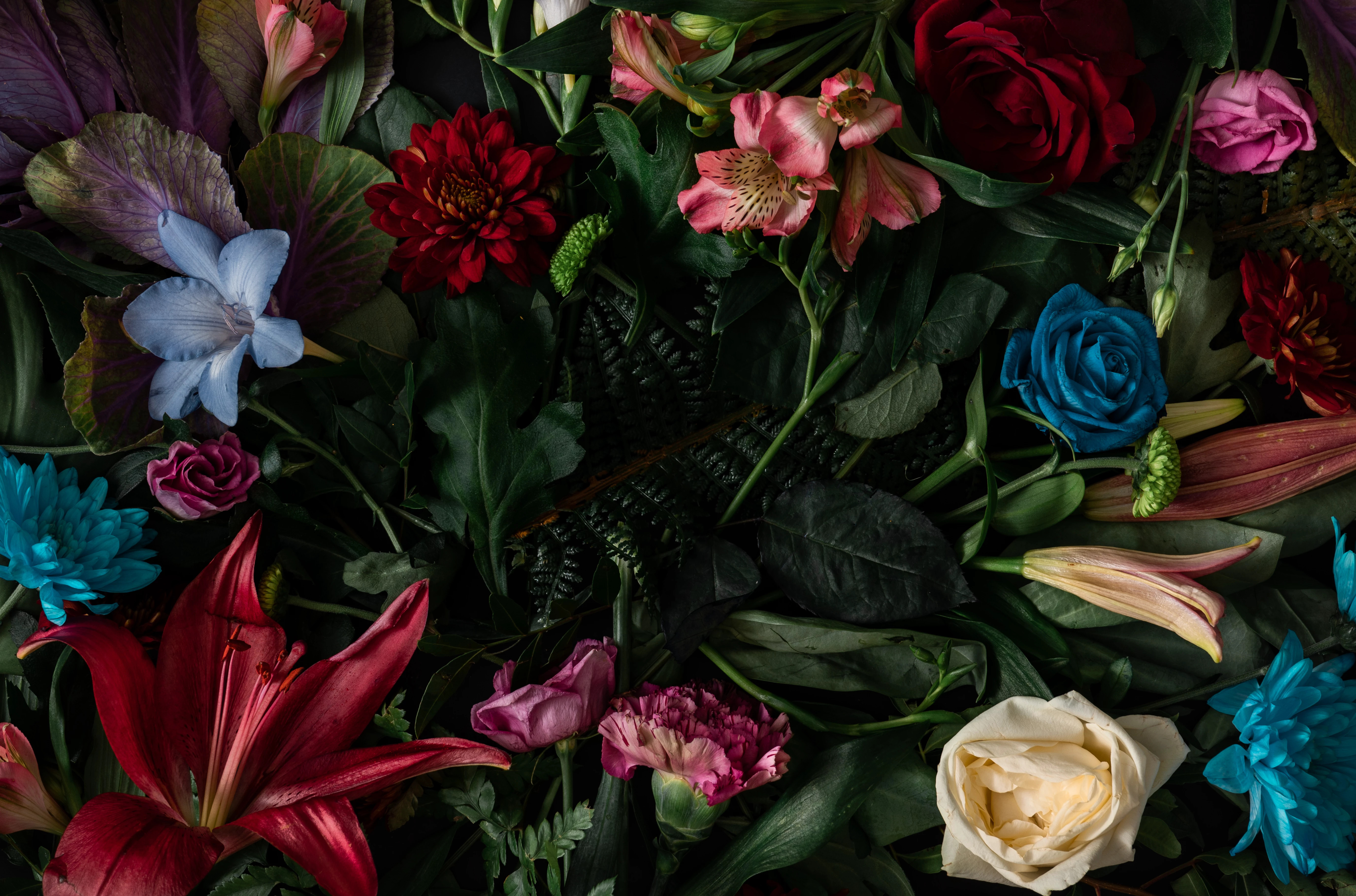 flores