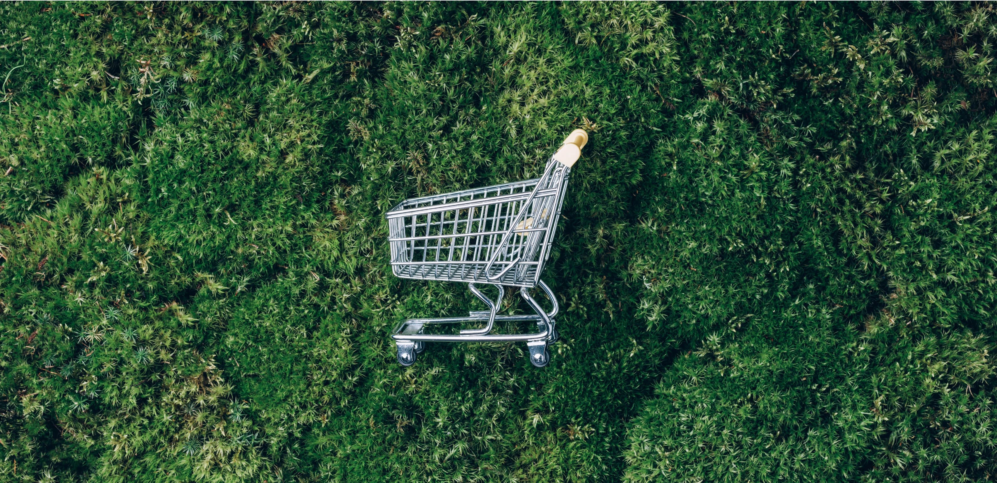 compras sustentáveis