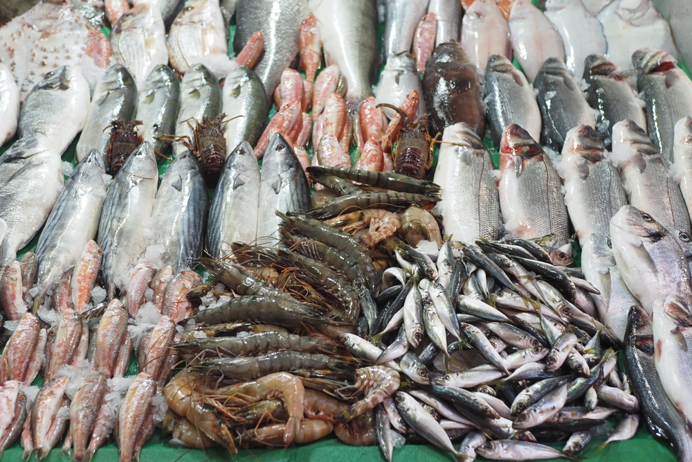 A culinária brasileira envolve bastante o consumo de pescados. Veja mais informações e curiosidades neste texto.