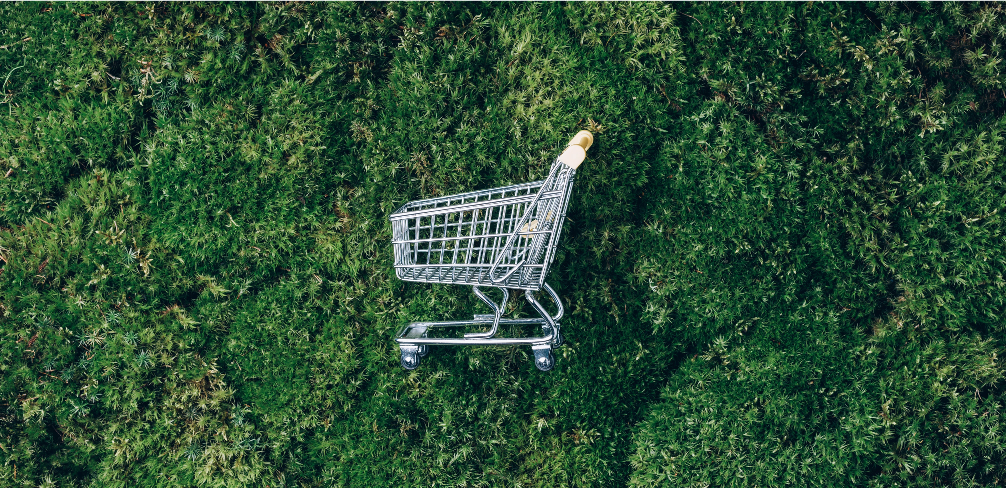 Aproveite para fazer suas compras de supermercado no Mart Minas