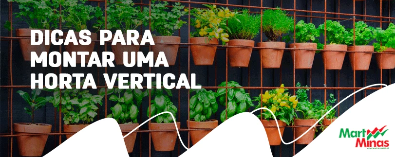 Veja como montar uma horta vertical